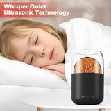 Flame Effect Fire Humidifier with LED Light and Aromatherapy