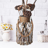 Honeyhouse Rustic Hanging Mason Jar Light Décor for Home